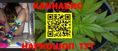 молекула духа Будённовск