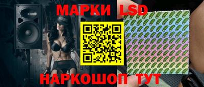 молекула духа Будённовск