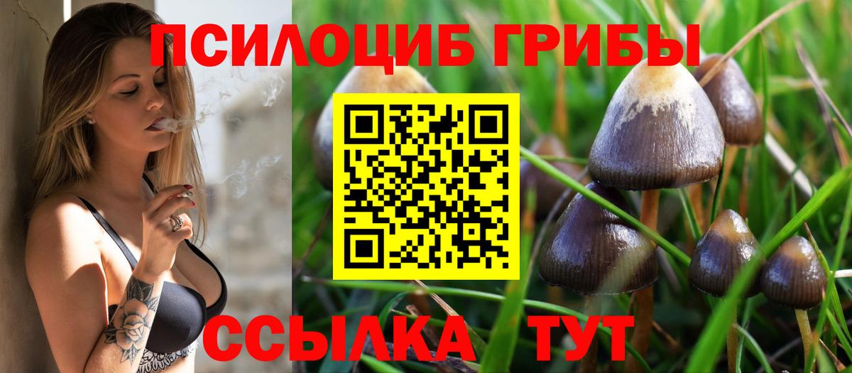 Галлюциногенные грибы GOLDEN TEACHER Урай